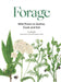Forage: Wild plants to gather and eat by Liz Knight Extended Range Orion Publishing Co