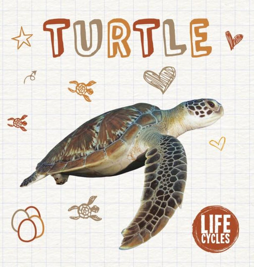 Turtle Popular Titles BookLife Publishing