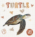 Turtle Popular Titles BookLife Publishing