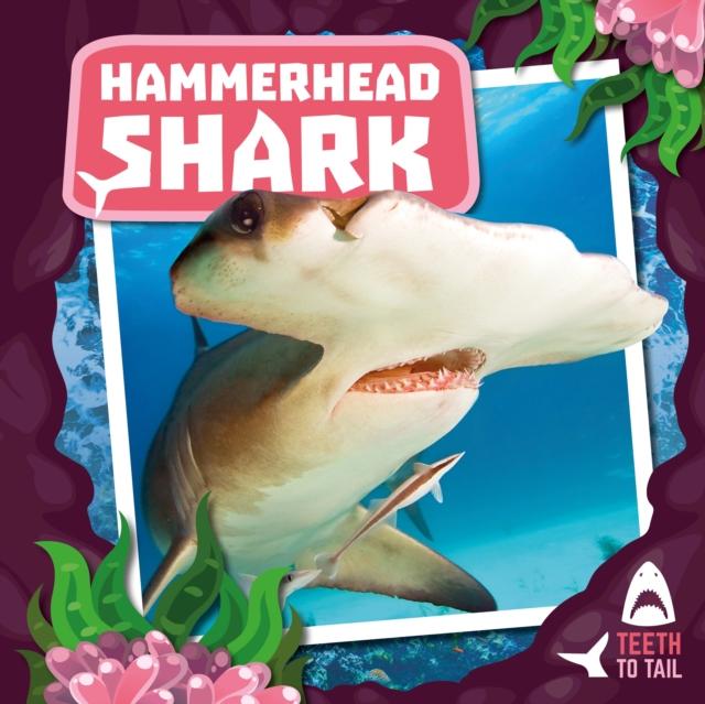 Hammerhead Shark : Teeth to Tail Popular Titles BookLife Publishing