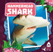 Hammerhead Shark : Teeth to Tail Popular Titles BookLife Publishing