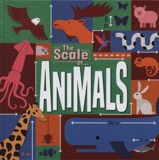 Animals Popular Titles BookLife Publishing