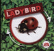 Ladybird Popular Titles BookLife Publishing