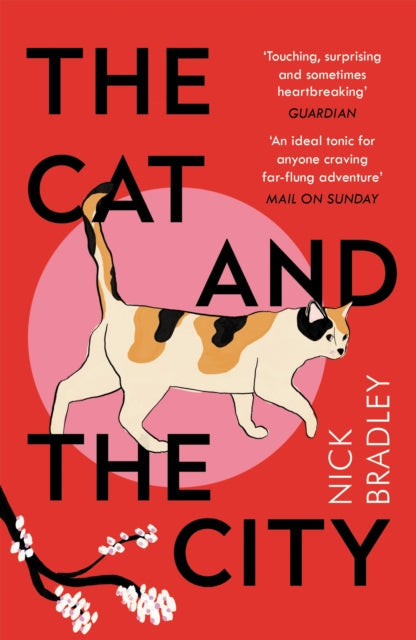 The Cat and The City by Nick Bradley Extended Range Atlantic Books