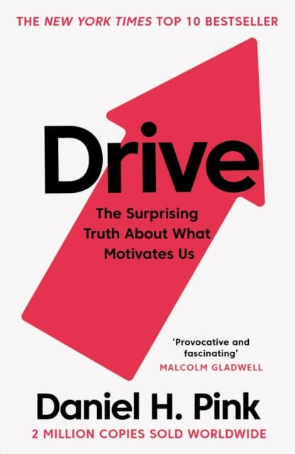 Drive: The Surprising Truth About What Motivates Us by Daniel H. Pink Extended Range Canongate Books