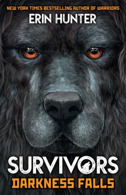 Survivors Book 3: Darkness Falls Popular Titles Imagine That Publishing Ltd