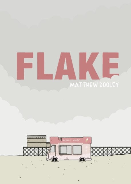 Flake by Matthew Dooley Extended Range Vintage Publishing
