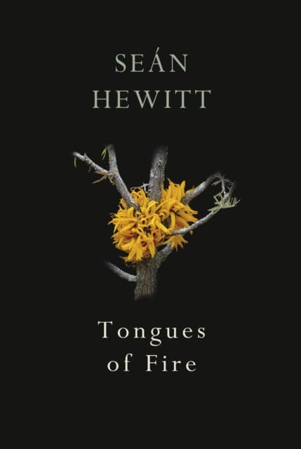 Tongues of Fire by Sean Hewitt Extended Range Vintage Publishing