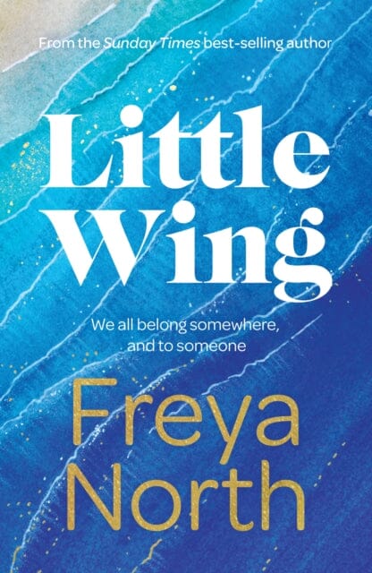 Little Wing by Freya North Extended Range Welbeck Publishing Group