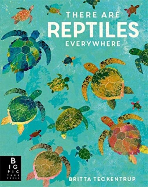 There are Reptiles Everywhere Popular Titles Templar Publishing