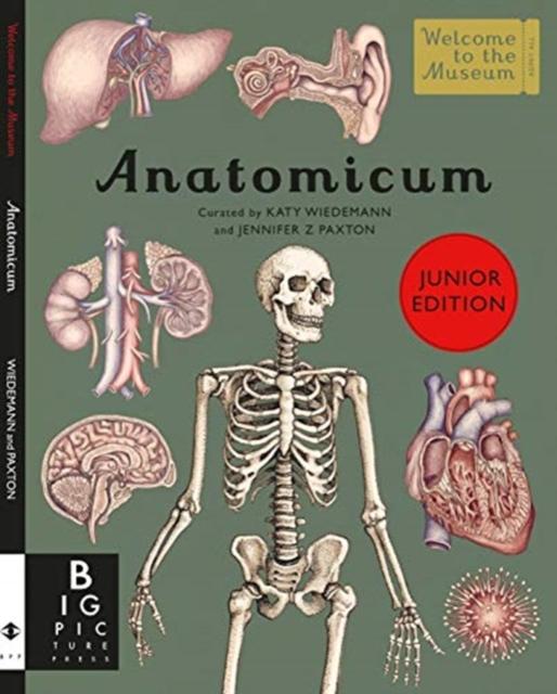 Anatomicum Junior Popular Titles Templar Publishing