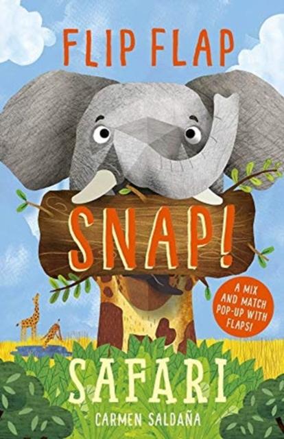 Flip Flap Snap: Safari Popular Titles Templar Publishing
