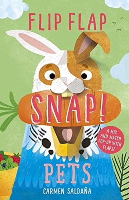 Flip Flap Snap: Pets Popular Titles Templar Publishing