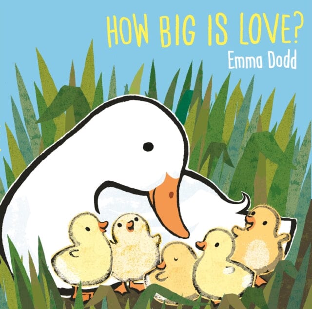 How Big Is Love? by Emma Dodd Extended Range Templar Publishing