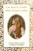 Anne of Green Gables Popular Titles Flame Tree Publishing