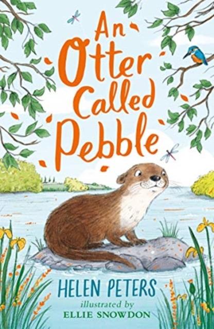 An Otter Called Pebble Popular Titles Nosy Crow Ltd