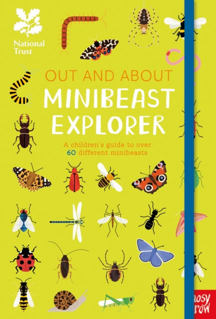 National Trust: Out and About Minibeast Explorer by Robyn Swift Extended Range Nosy Crow Ltd