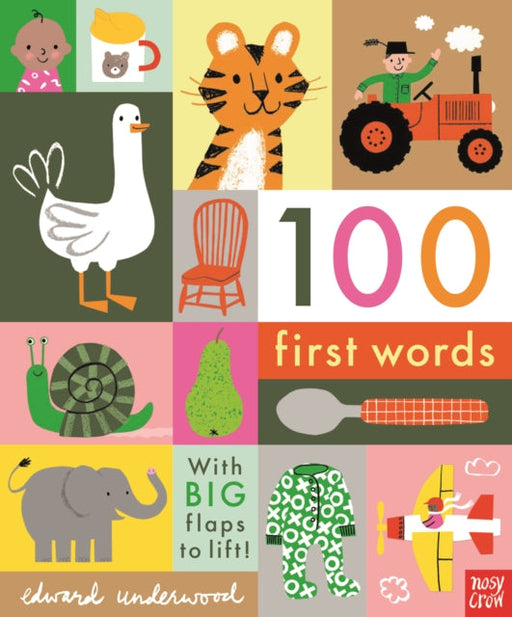 100 First Words by Edward Underwood Extended Range Nosy Crow Ltd