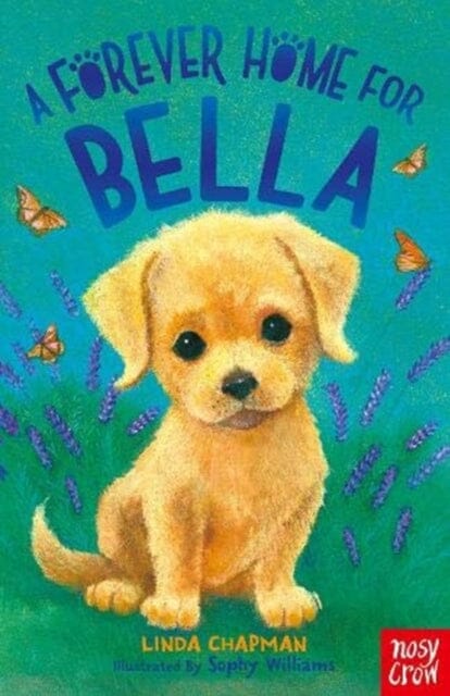 A Forever Home for Bella by Linda Chapman Extended Range Nosy Crow Ltd