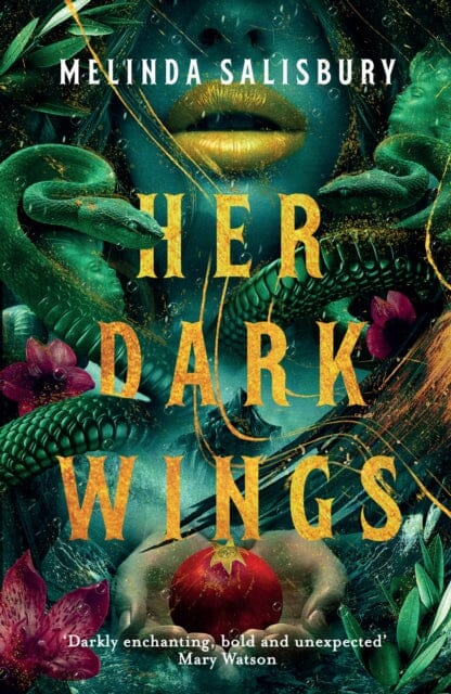 Her Dark Wings by Melinda Salisbury Extended Range David Fickling Books