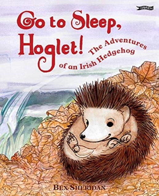 Go To Sleep, Hoglet Popular Titles O'Brien Press Ltd