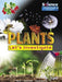 Plants: Let's Investigate Popular Titles Ruby Tuesday Books Ltd