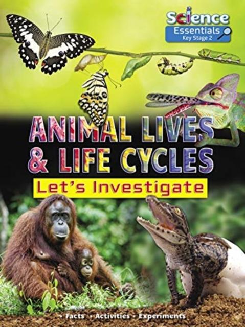 Animal Lives and Life Cycles: Let's Investigate Popular Titles Ruby Tuesday Books Ltd