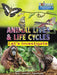 Animal Lives and Life Cycles: Let's Investigate Popular Titles Ruby Tuesday Books Ltd