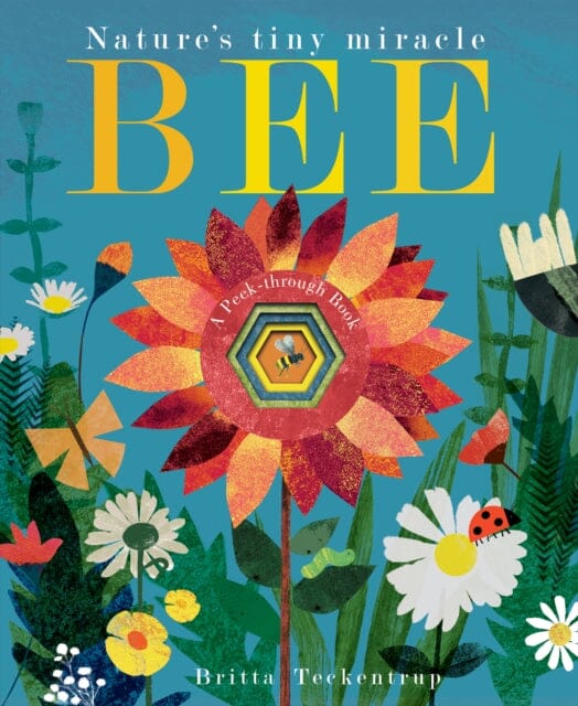 Bee: Nature's tiny miracle by Patricia Hegarty Extended Range Little Tiger Press Group