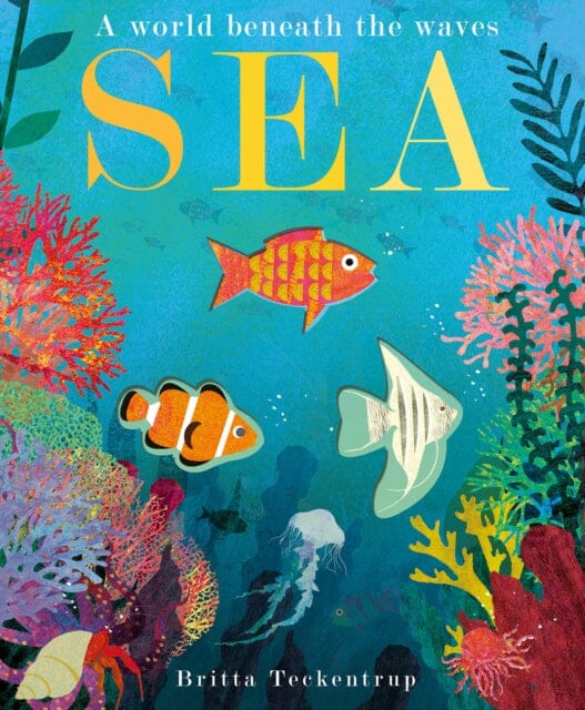 Sea: A World Beneath the Waves by Patricia Hegarty Extended Range Little Tiger Press Group