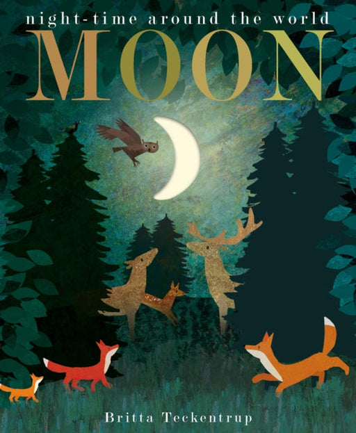 Moon: night-time around the world by Patricia Hegarty Extended Range Little Tiger Press Group