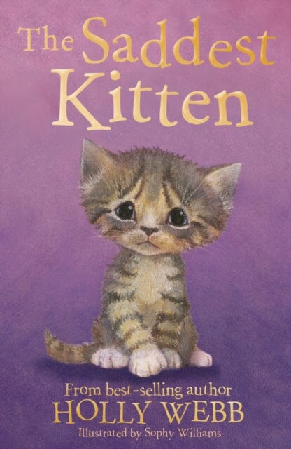 The Saddest Kitten by Holly Webb Extended Range Little Tiger Press Group