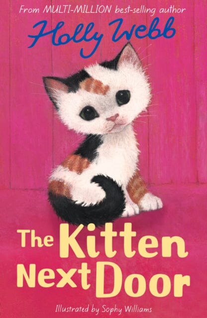 The Kitten Next Door by Holly Webb Extended Range Little Tiger Press Group