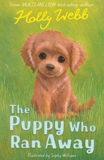 The Puppy Who Ran Away by Holly Webb Extended Range Little Tiger Press Group