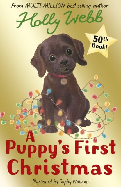 A Puppy's First Christmas by Holly Webb Extended Range Little Tiger Press Group