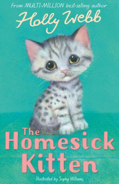 The Homesick Kitten by Holly Webb Extended Range Little Tiger Press Group