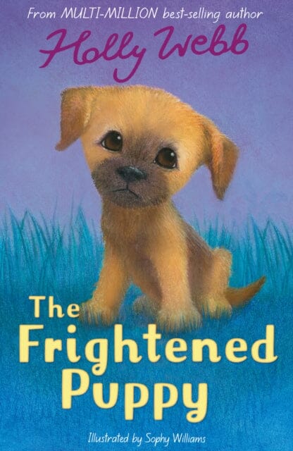 The Frightened Puppy by Holly Webb Extended Range Little Tiger Press Group