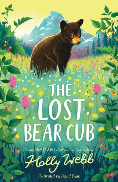 The Lost Bear Cub by Holly Webb Extended Range Little Tiger Press Group
