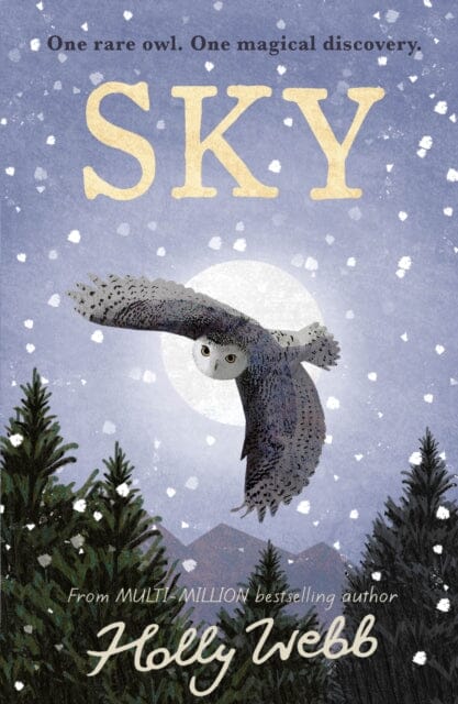 Sky by Holly Webb Extended Range Little Tiger Press Group