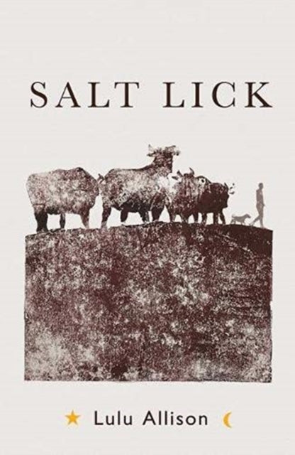 Salt Lick by Lulu Allison Extended Range Unbound