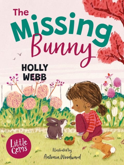 The Missing Bunny by Holly Webb Extended Range HarperCollins Publishers