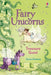 Fairy Unicorns The Treasure Quest by Zanna Davidson Extended Range Usborne Publishing Ltd