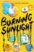 Burning Sunlight by Anthea Simmons Extended Range Andersen Press Ltd