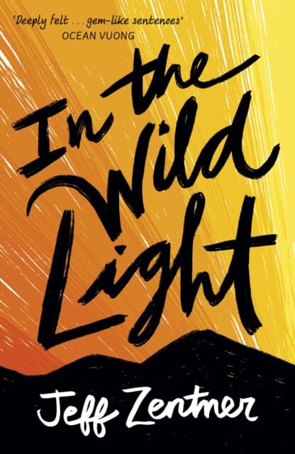 In the Wild Light by Jeff Zentner Extended Range Andersen Press Ltd