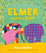 Elmer and the Gift by David McKee Extended Range Andersen Press Ltd