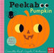 Peekaboo Pumpkin by Camilla Reid Extended Range Nosy Crow Ltd