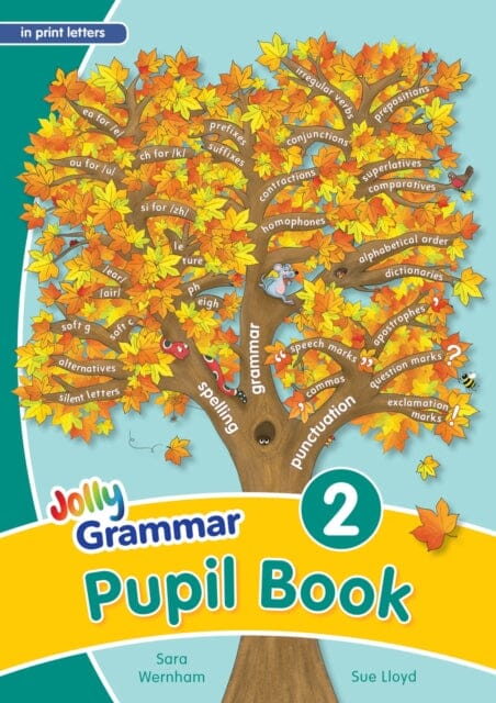 Grammar 2 Pupil Book: In Print Letters (British English edition) by Sara Wernham Extended Range Jolly Learning Ltd