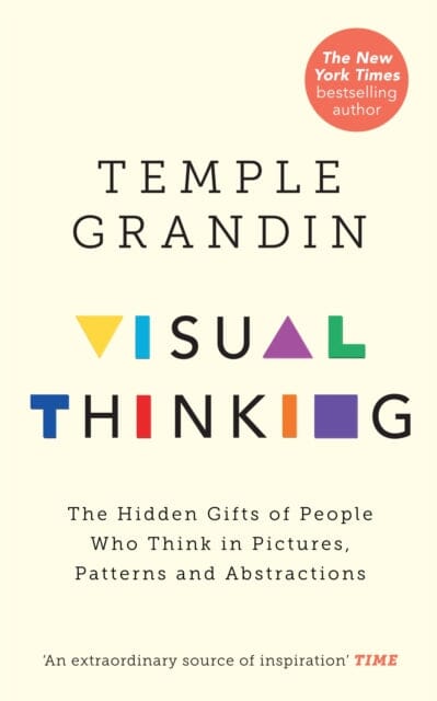 Visual Thinking : The Hidden Gifts of People Who Think in Pictures, Patterns and Abstractions Extended Range Ebury Publishing