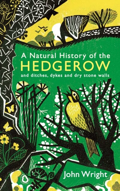 A Natural History of the Hedgerow: and ditches, dykes and dry stone walls by John Wright Extended Range Profile Books Ltd