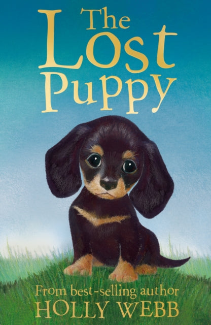 The Lost Puppy by Holly Webb Extended Range Little Tiger Press Group